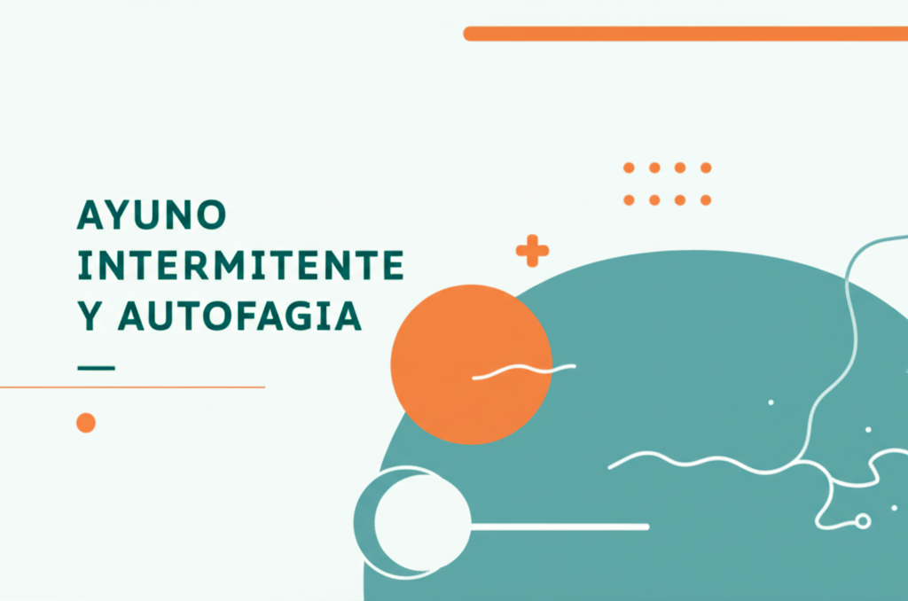 Ayuno intermitente y autofagia: Guia completa y actualizada